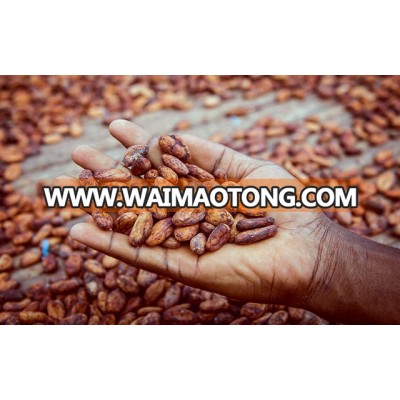 High Quality Dried Fermented Cocoa Beans at very good prices